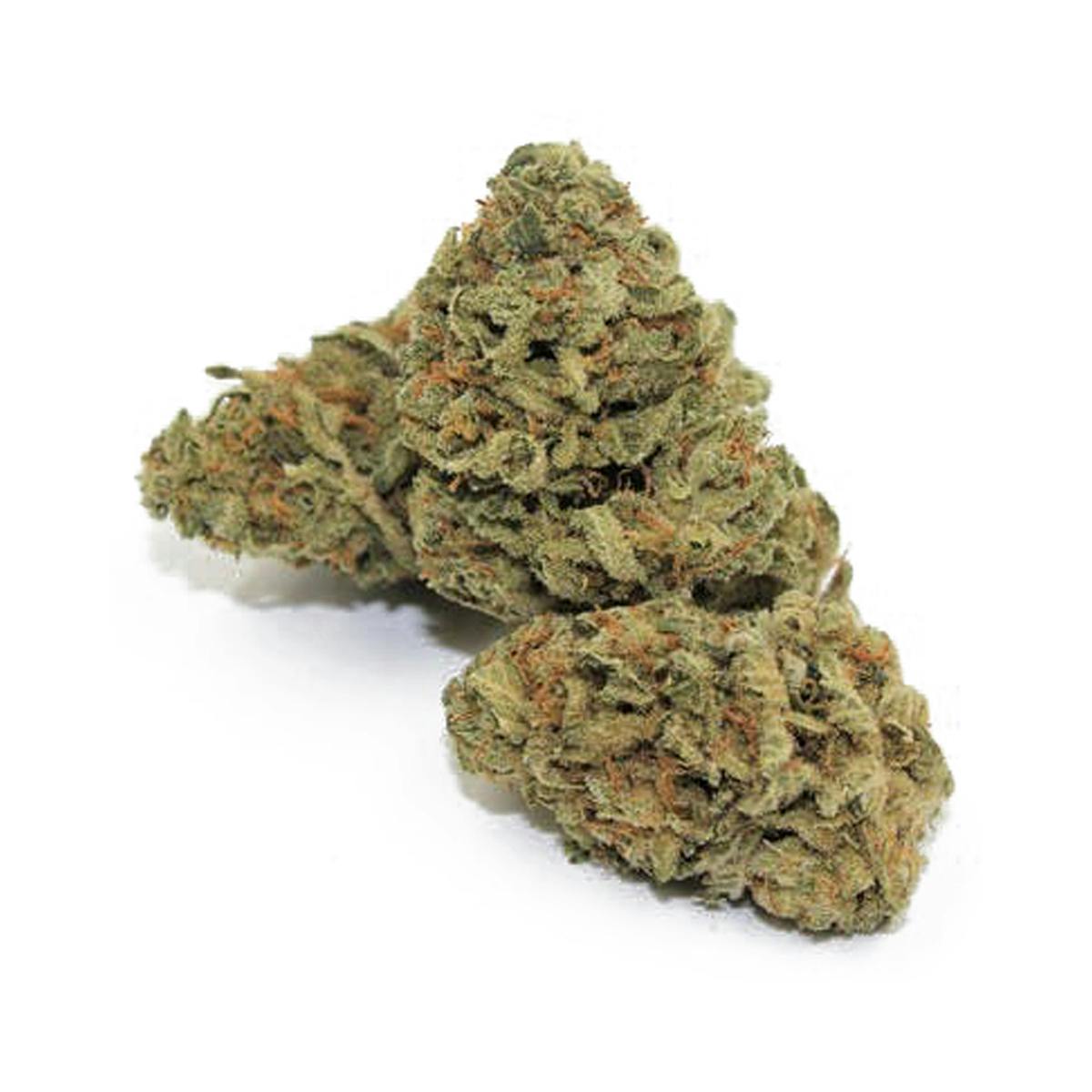 Pine Street Cannabis Company - Pine Street | Critical Jack | Flower - 1