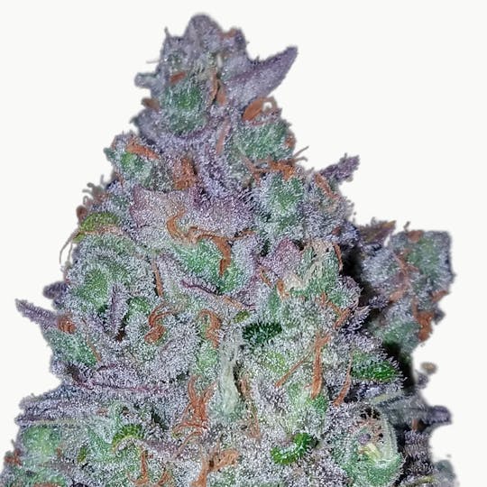 North Road Buds - Strawberry Kush - 1
