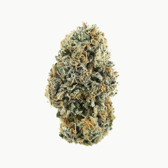 Catalyst Cannabis Co. - Orange Dream - 1