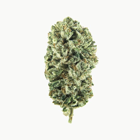 Catalyst Cannabis Co. - O.G. Kush - 1