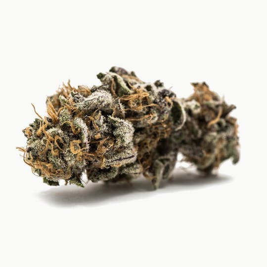 Kynd Cannabis - Cadillac Purple - 1