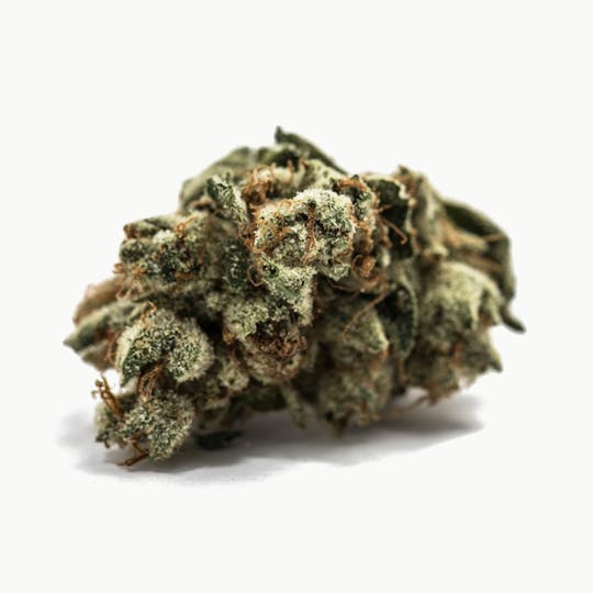Kynd Cannabis - Joe OG - 1