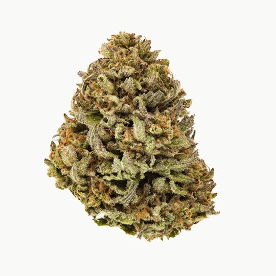 Rogue River Family Farms - Sunset Sherbert - 1
