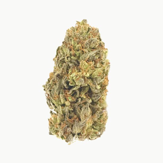Rogue River Family Farms - Ecstasy OG - 1