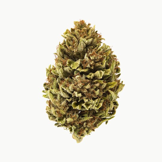 Rogue River Family Farms - SFV OG #1 - 1