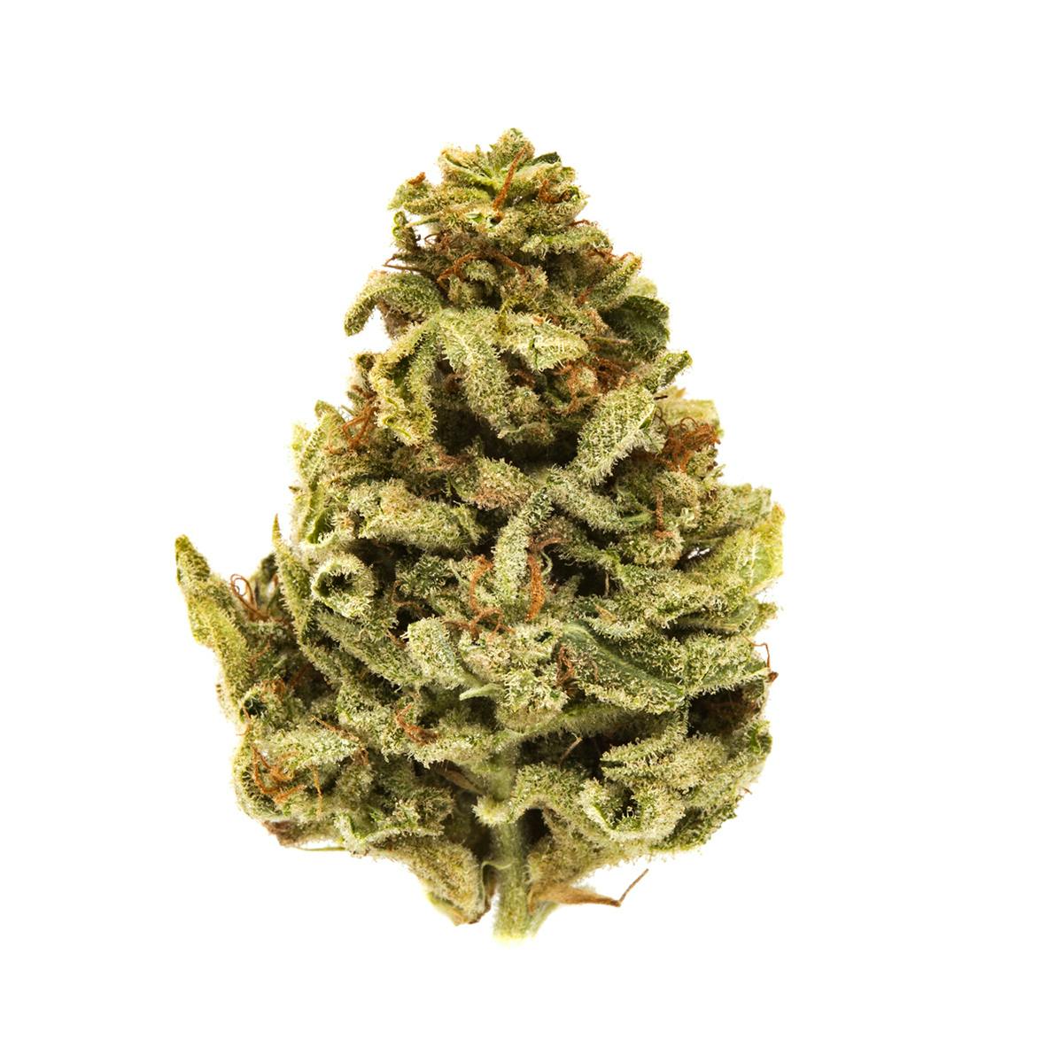 Rogue River Family Farms - 9lb Hammer - 1