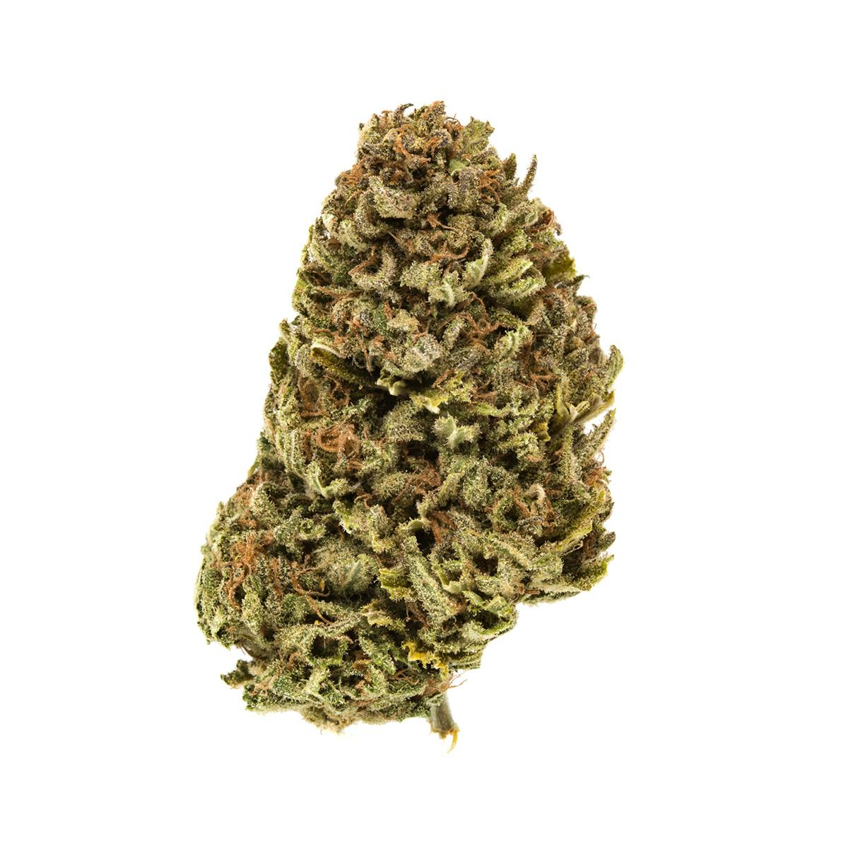 Rogue River Family Farms - Blue Dream - 1