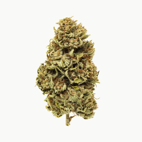 Rogue River Family Farms - ChemDawg OG - 1