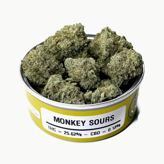 Space Monkey Meds - Monkey Sours - 1
