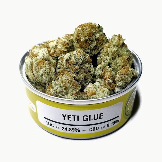 Space Monkey Meds - Yeti Glue - 1