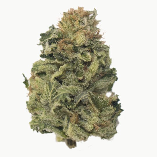 Aurora Blaze - Lemon Kush Headband - 1