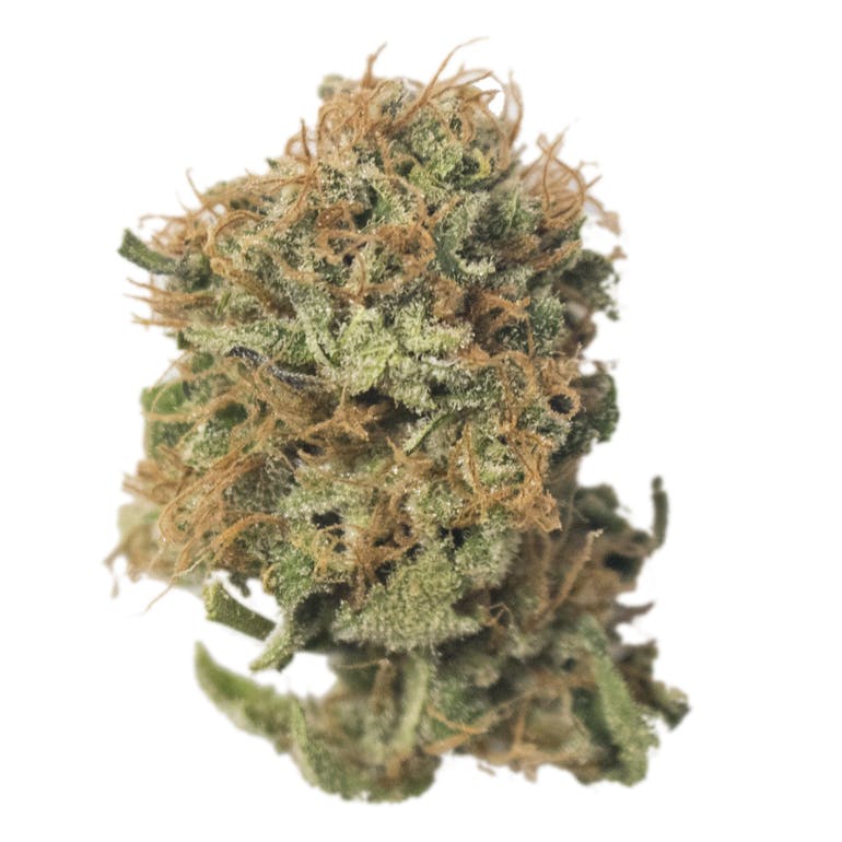 Aurora Blaze - Rollex OG Kush - 1