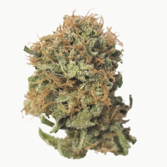 Aurora Blaze - Rollex OG Kush - 1