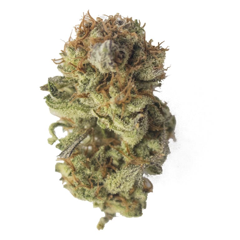 Aurora Blaze - Snow White - 1