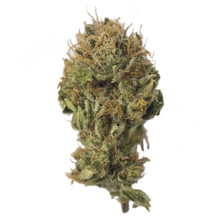 Aurora Blaze - Jack Herer - 1