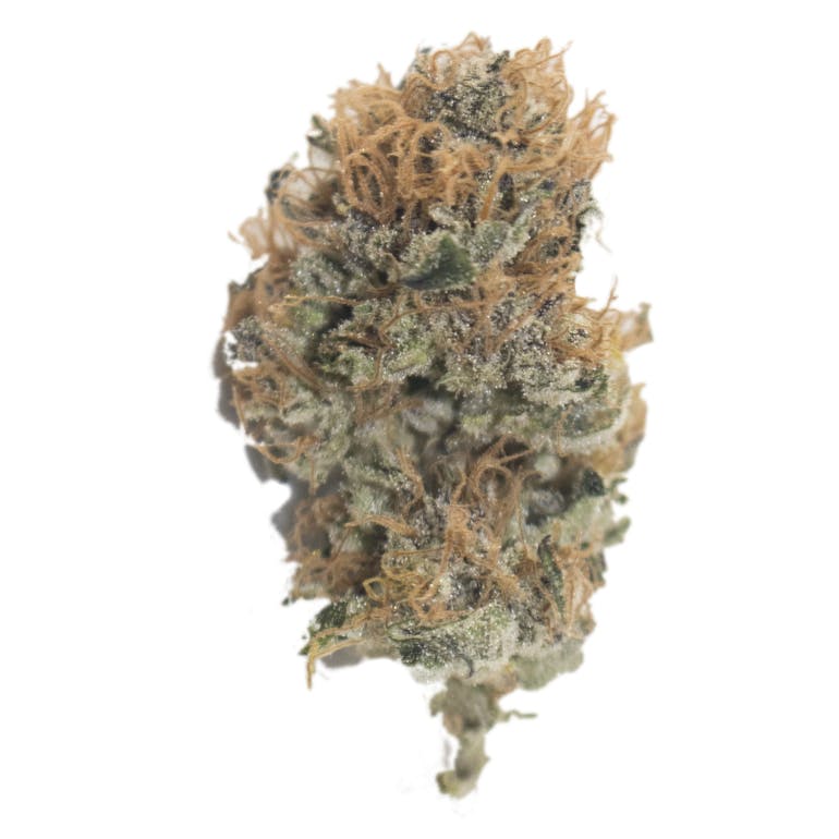 Aurora Blaze - Purple Skunk Mass - 1