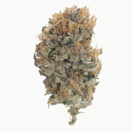 Aurora Blaze - Purple Skunk Mass - 1