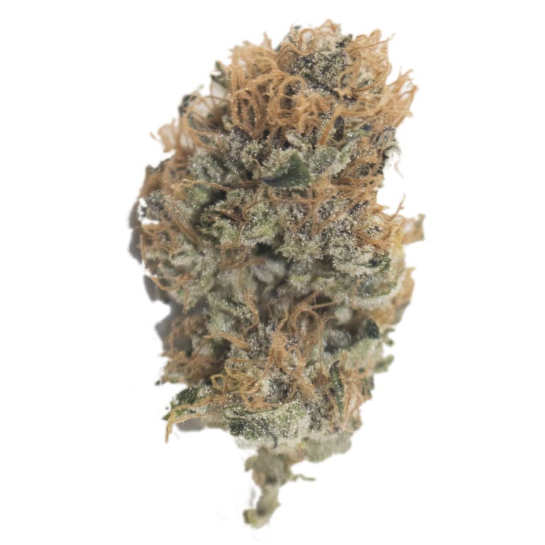 Aurora Blaze - Pineapple Chunk - 1