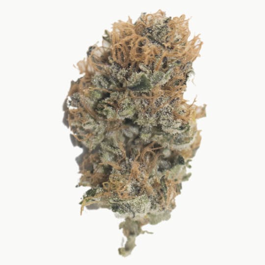 Aurora Blaze - Pineapple Chunk - 1