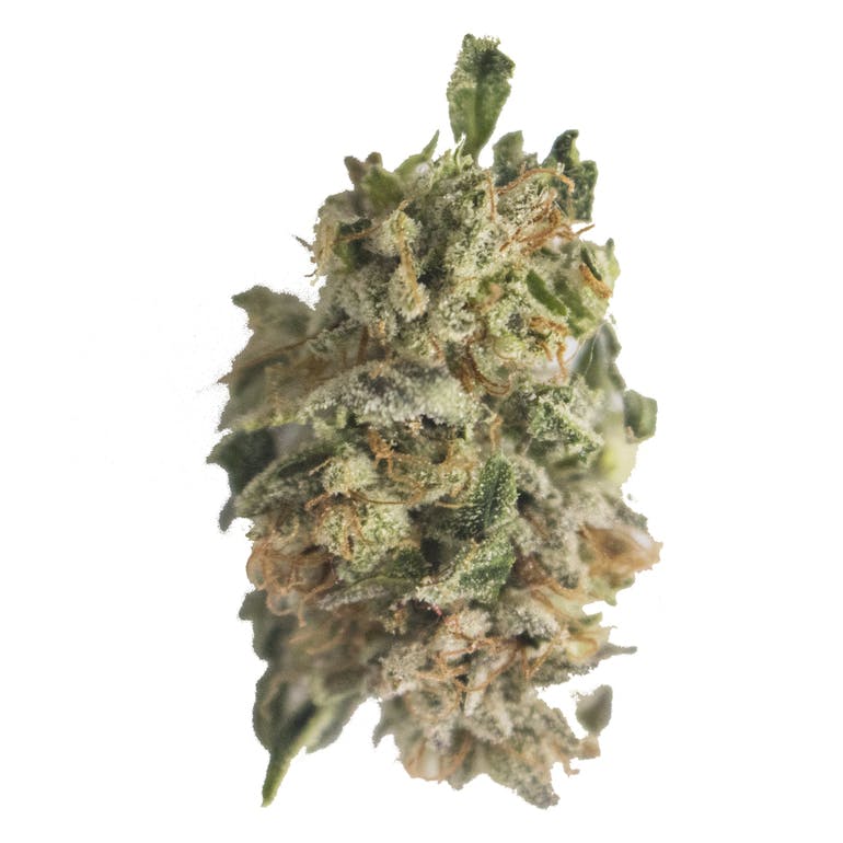 Aurora Blaze - Skywalker Kush - 1