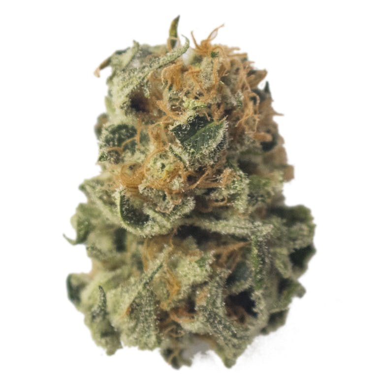 Aurora Blaze - Green Crack - 1