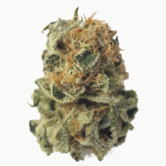 Aurora Blaze - Green Crack - 1