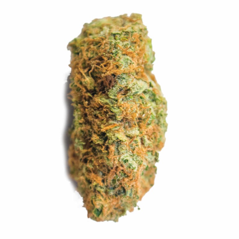 Aurora Blaze - Big Bud XXL - 1