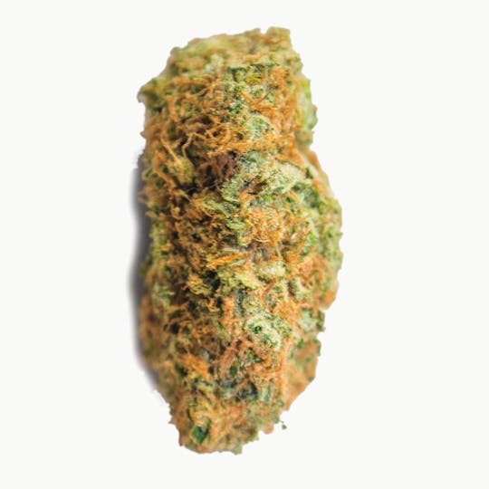 Aurora Blaze - Big Bud XXL - 1