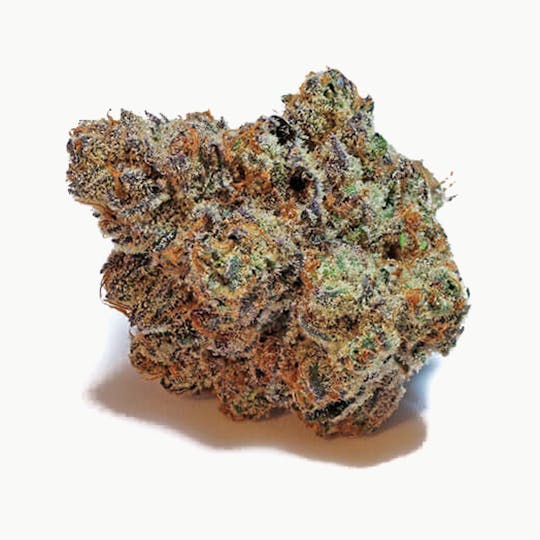 Theory Wellness - Mimosa - 1