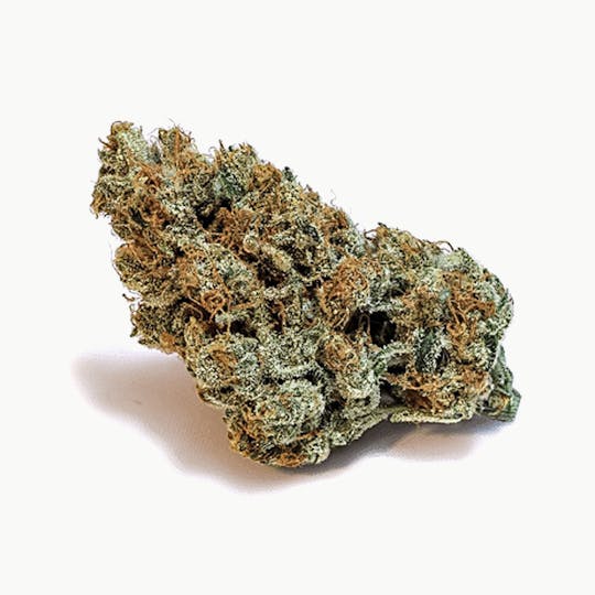 Theory Wellness - Strawberry Fields - 1