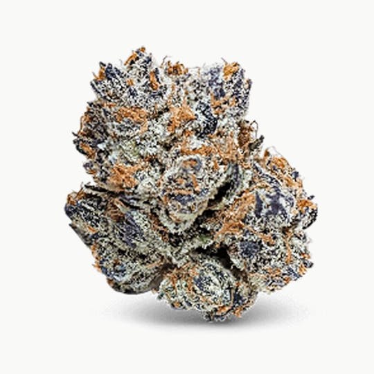 Theory Wellness - Samoas - 1