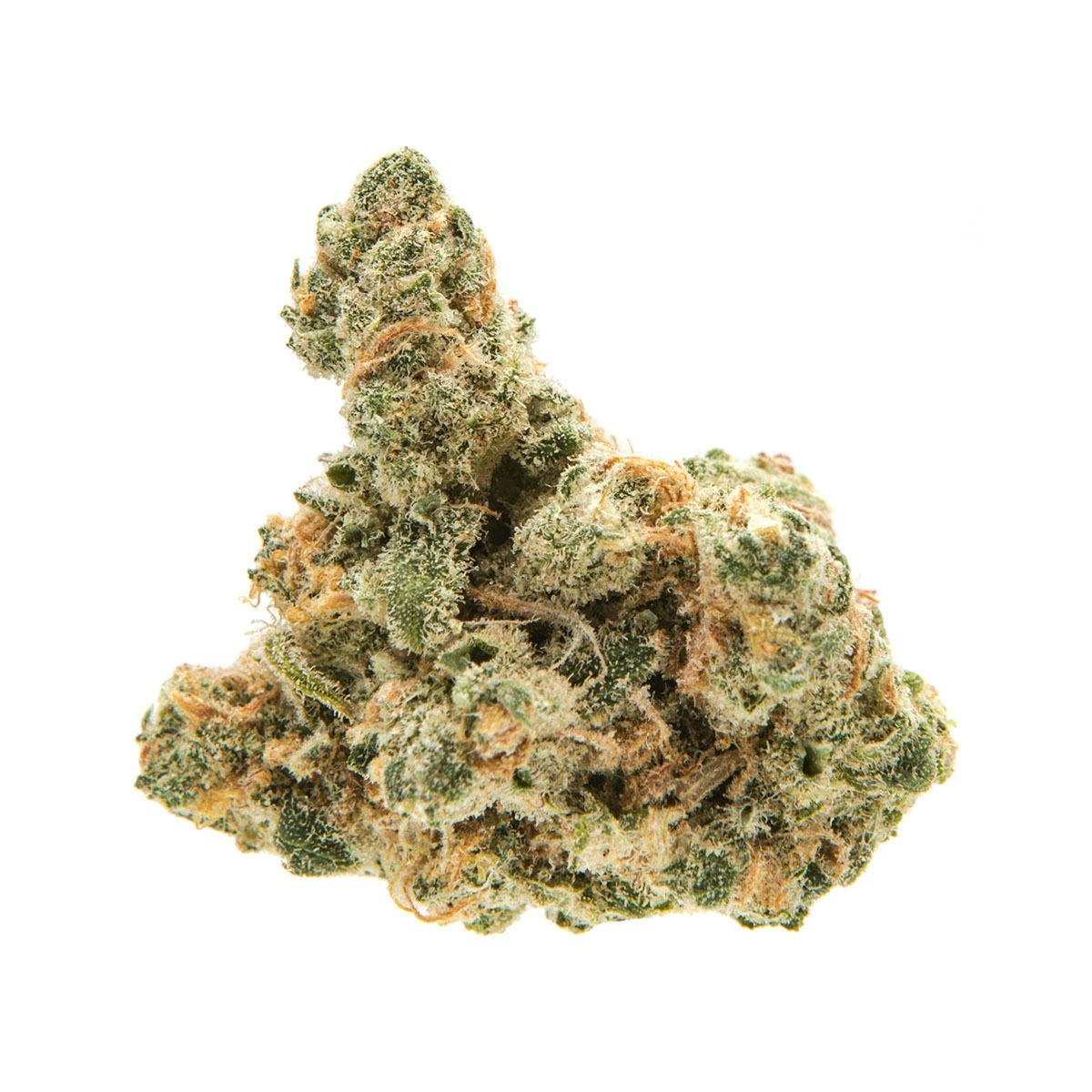 MGOT - Blue Dream - 1
