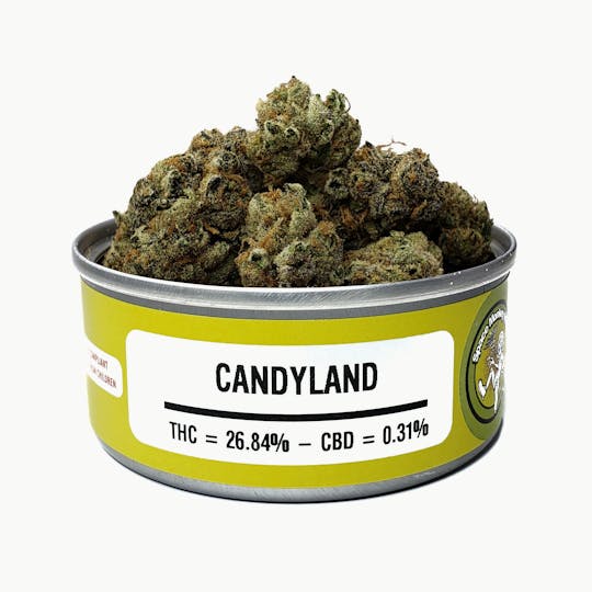 Space Monkey Meds - Candyland - 1