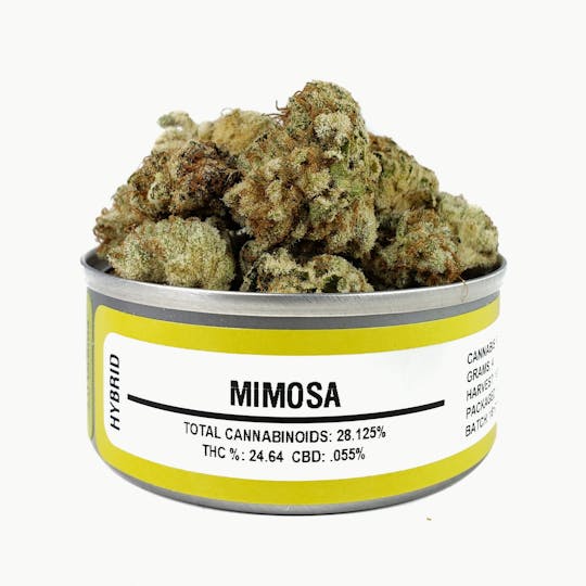 Space Monkey Meds - Mimosa - 1