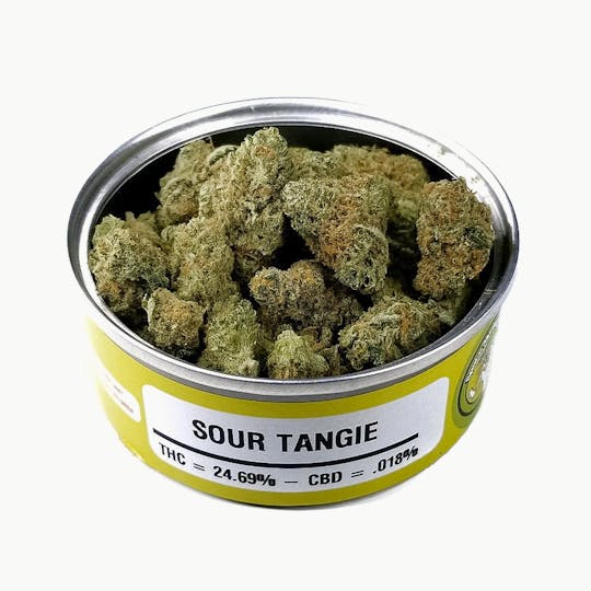 Space Monkey Meds - Sour Tangie - 1