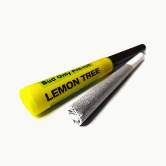 Space Monkey Meds - Lemon Tree - Bud Only Pre-Roll - 1
