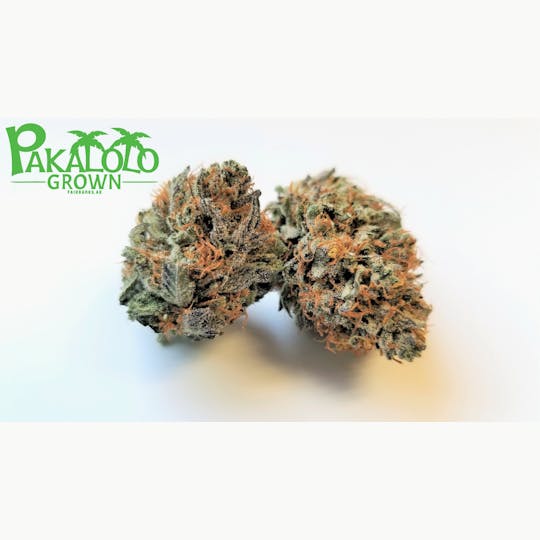 Pakalolo Supply Company - Caramel Kona Coffee Kush - 1