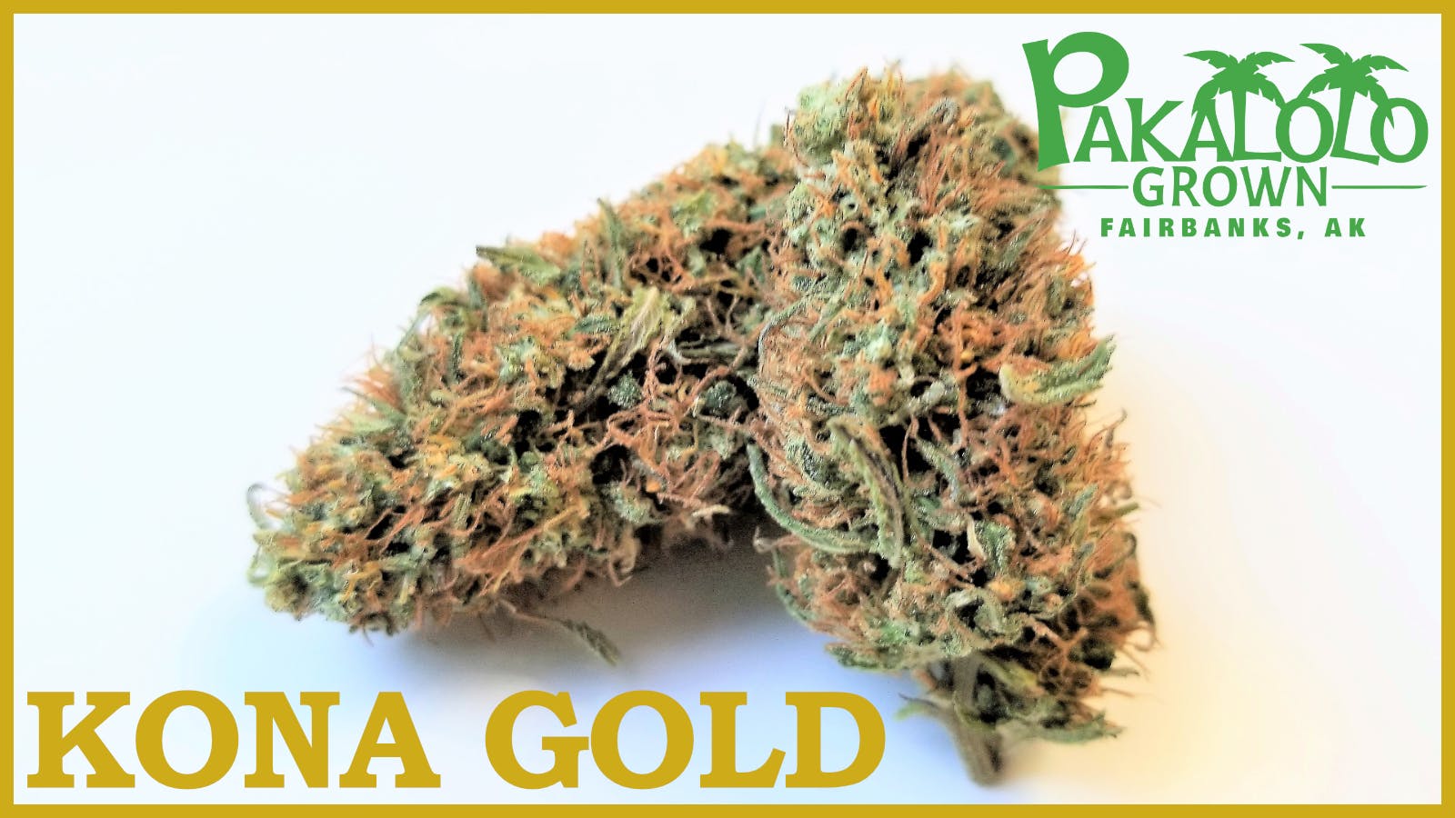 Pakalolo Supply Company - PSC | Kona Gold | Flower | 3.5G - 1