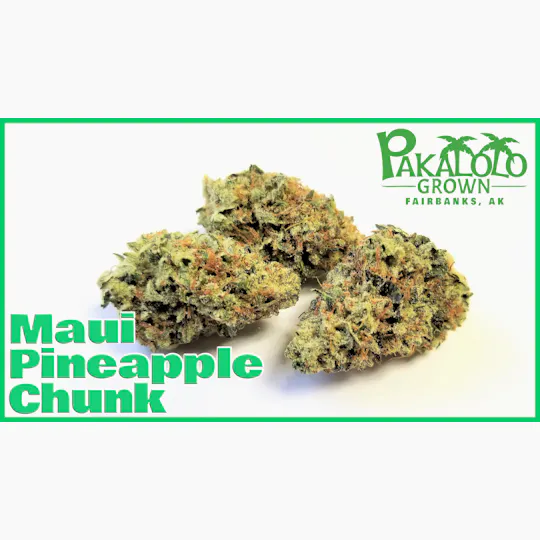 Pakalolo Supply Company - PSC | Maui Pineapple Chunk | Flower | 3.5G - 1