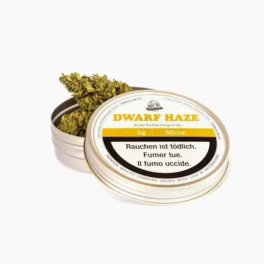 Terra Lab - Dwarf Haze - 1