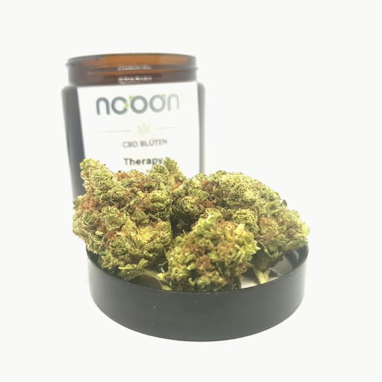 NOOON CBD - CBD Therapy (T.H.P) - 1