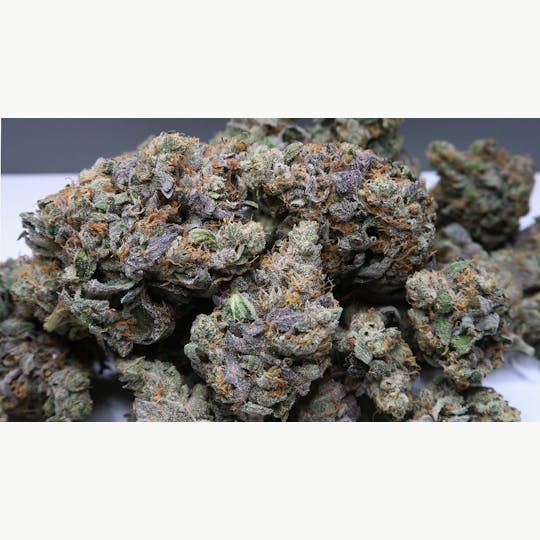 High Tide Organics - Hell Hound OG - 1