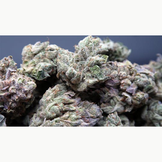 High Tide Organics - KingPin Kush - 1