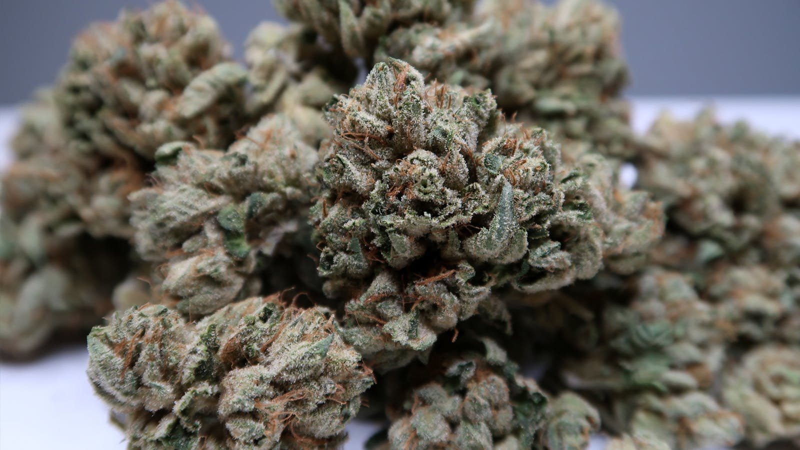 High Tide Organics - Platinum OG - 1