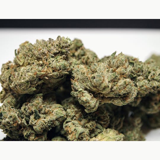 High Tide Organics - SFV OG - 1
