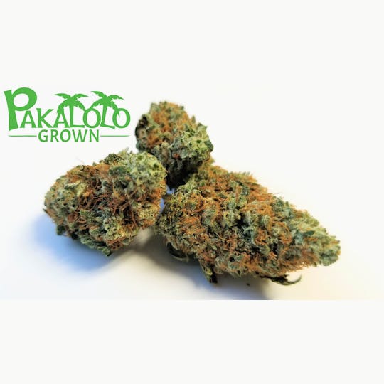 Pakalolo Supply Company - Ali'i Drive Sidekick Sixpack - 1
