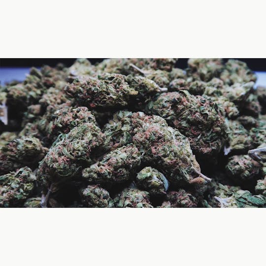 High Tide Organics - Rattle Snake Sour Diesel - 1