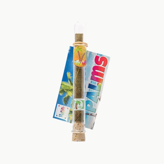 Pakalolo Supply Company - Pakalolo Palms - Kona Gold - 1