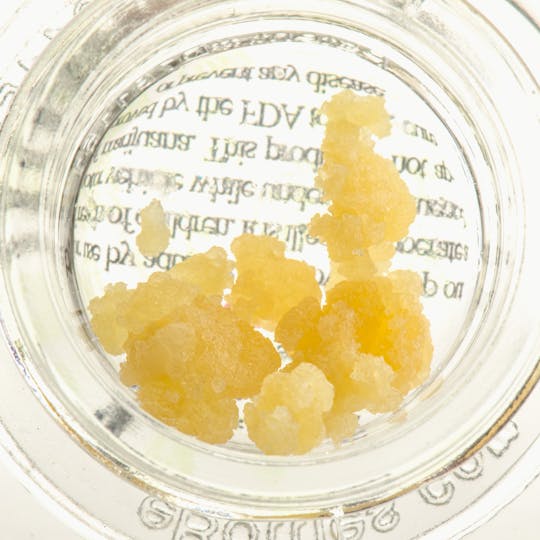 Oregon Genetics - Cinx Cookies Live Resin - 1