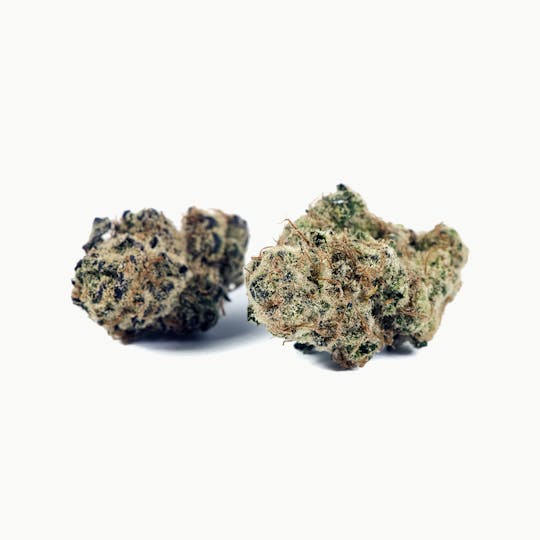 Tryke - Cactus Breath - 1